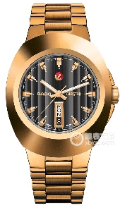 雷达 自动机械腕表