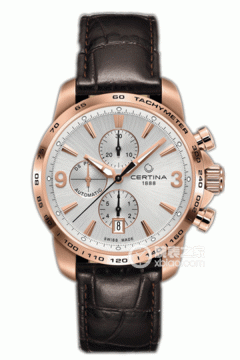 雪铁纳 冠军 DS POSIUM