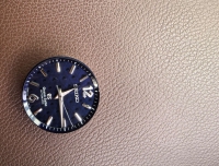 不完整的冠蓝狮 尊达gs