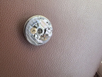 不完整的冠蓝狮 尊达gs