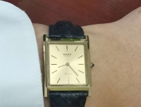 蛇年换蛇皮——雷达欧版石英方表