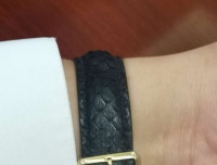 蛇年换蛇皮——雷达欧版石英方表