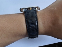 古今多少事，都进博物馆