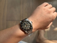 最近买了一块帝舵碧湾1958 帮忙看看大小合不合适