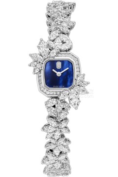 海瑞温斯顿 HJTQHM18PP009