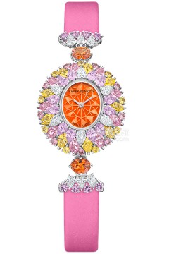 海瑞温斯顿 HJTQHM29PP011