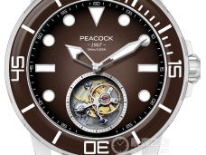 孔雀表探索系列PFG0201.02