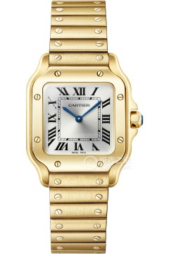 卡地亚山度士系列WGSA0107