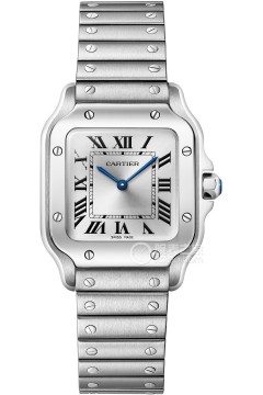 卡地亚山度士系列WSSA0082