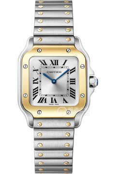 卡地亚山度士系列W2SA0033