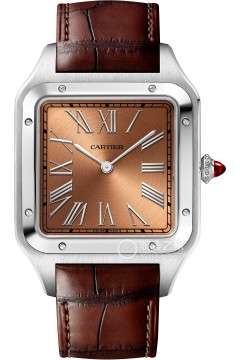 卡地亚山度士系列WGSA0113