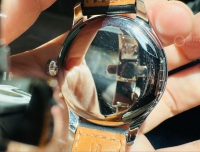 一只并不那么波尔的波尔