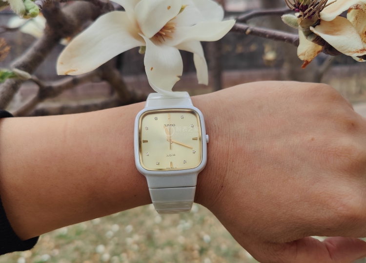 戴上她一起迎接春天  雷达 RX R5.5 论坛首发