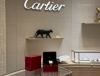 涨价前入手全金山度士大号