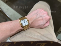 涨价前入手全金山度士大号