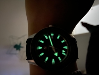 颜值爆表的绿库克！拥有了4年，第一次发帖！