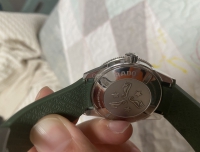 颜值爆表的绿库克！拥有了4年，第一次发帖！