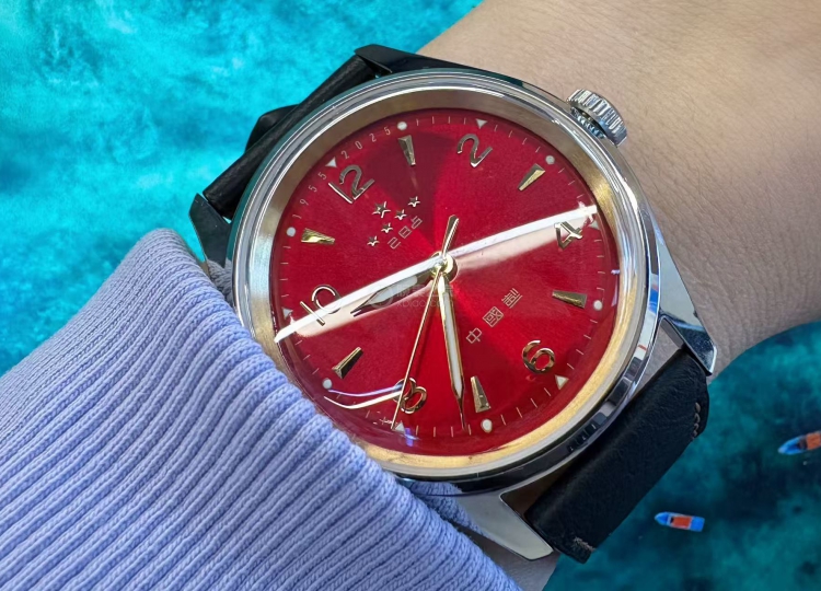 我的生日礼物  必须要记录的海鸥表