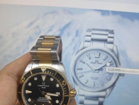 雪铁纳间金小海龟报道