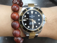 雪铁纳间金小海龟报道