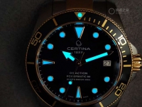 雪铁纳间金小海龟报道