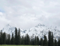 感谢一切的遇见＃把运动风戴在腕间＃