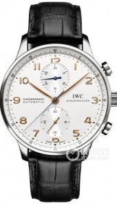 IWC万国表 IW371445