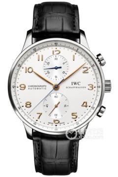 IWC万国表 IW371445