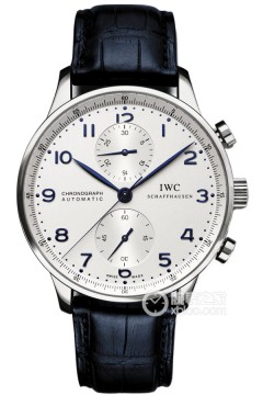 IWC万国表 IW371446