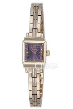 西铁城 光动能表