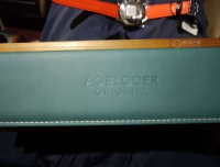 新年入手爱勒世界时