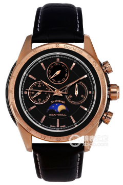 海鸥 多功能/码表系列