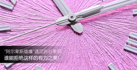 “阿尔卑斯雄鹰”遇见岩石茉莉，谁能拒绝这样的有力之美！