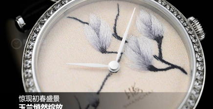 惊现初春盛景，玉兰悄然绽放