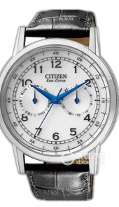 西铁城 AO9000-06B