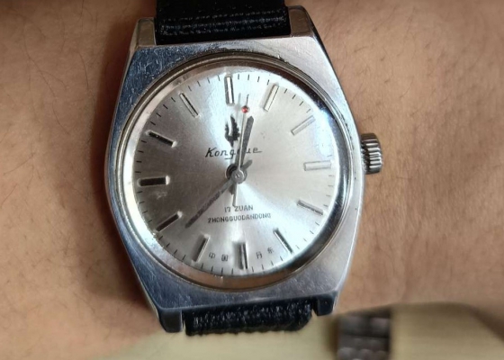 满满的年代印记  辽宁孔雀灿烂人生