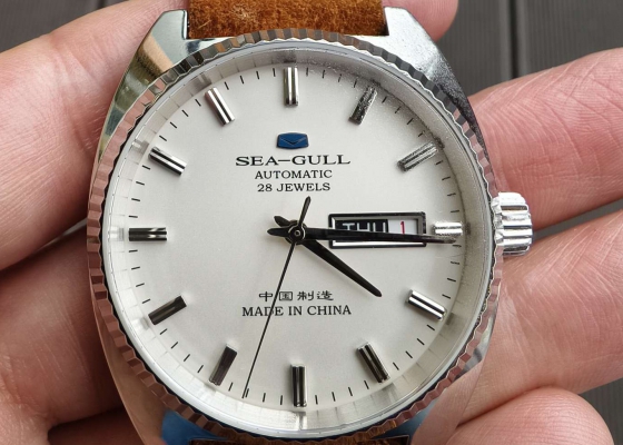 入手国表海鸥3009  复古好看情绪价值高