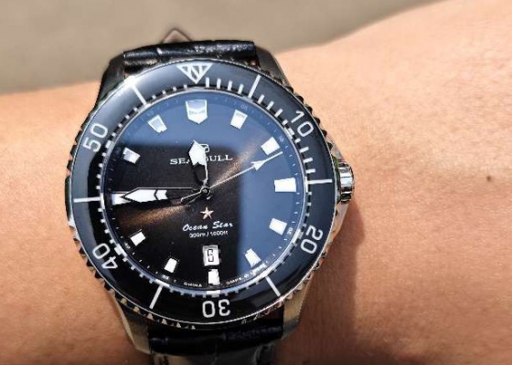 第一次买选择这一款  海鸥海洋之星PRO