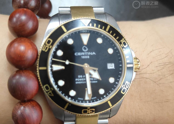 雪铁纳间金小海龟报道  上天下地性价比无敌