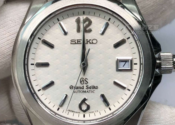 冥冥之中的相遇  入手冠蓝狮经典之作