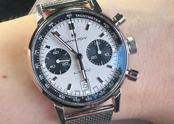 最具性价比熊猫盘？  汉米尔顿美国经典