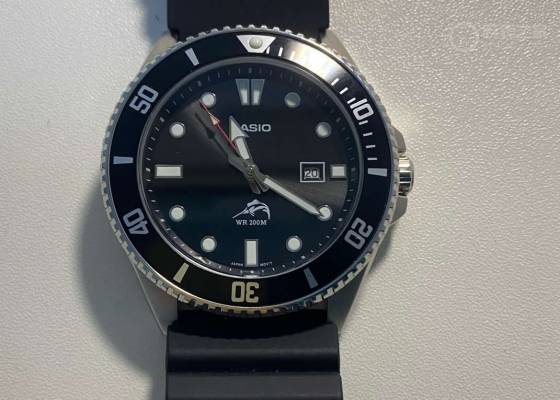 少年烈马狂歌的心  我的卡西欧剑鱼