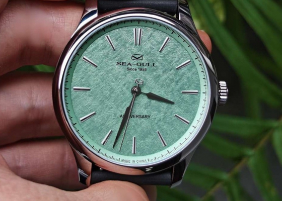 坛子首发我的海鸥表  手动无卡度游丝砝码摆轮3415