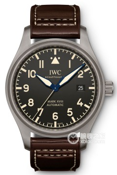 IWC万国表 IW327006