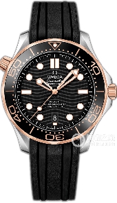 欧米茄 210.22.42.20.01.002