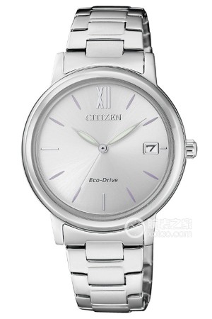 西铁城光动能表 FE6090-85A