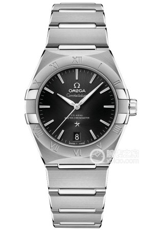 欧米茄星座 131.10.36.20.01.001