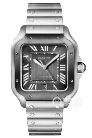 卡地亚山度士 WSSA0037