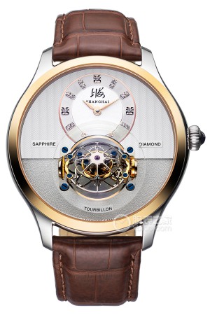 上海表复兴 SWT-003R