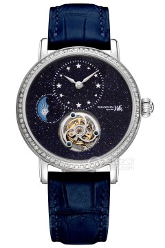 上海表 22MT-S-F12-AVSTBL